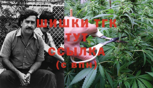 первитин Сосновый Бор