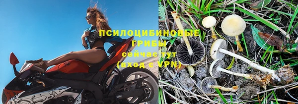 трава Сосновоборск