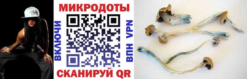 Псилоцибиновые грибы GOLDEN TEACHER  Купить где  Изобильный 
